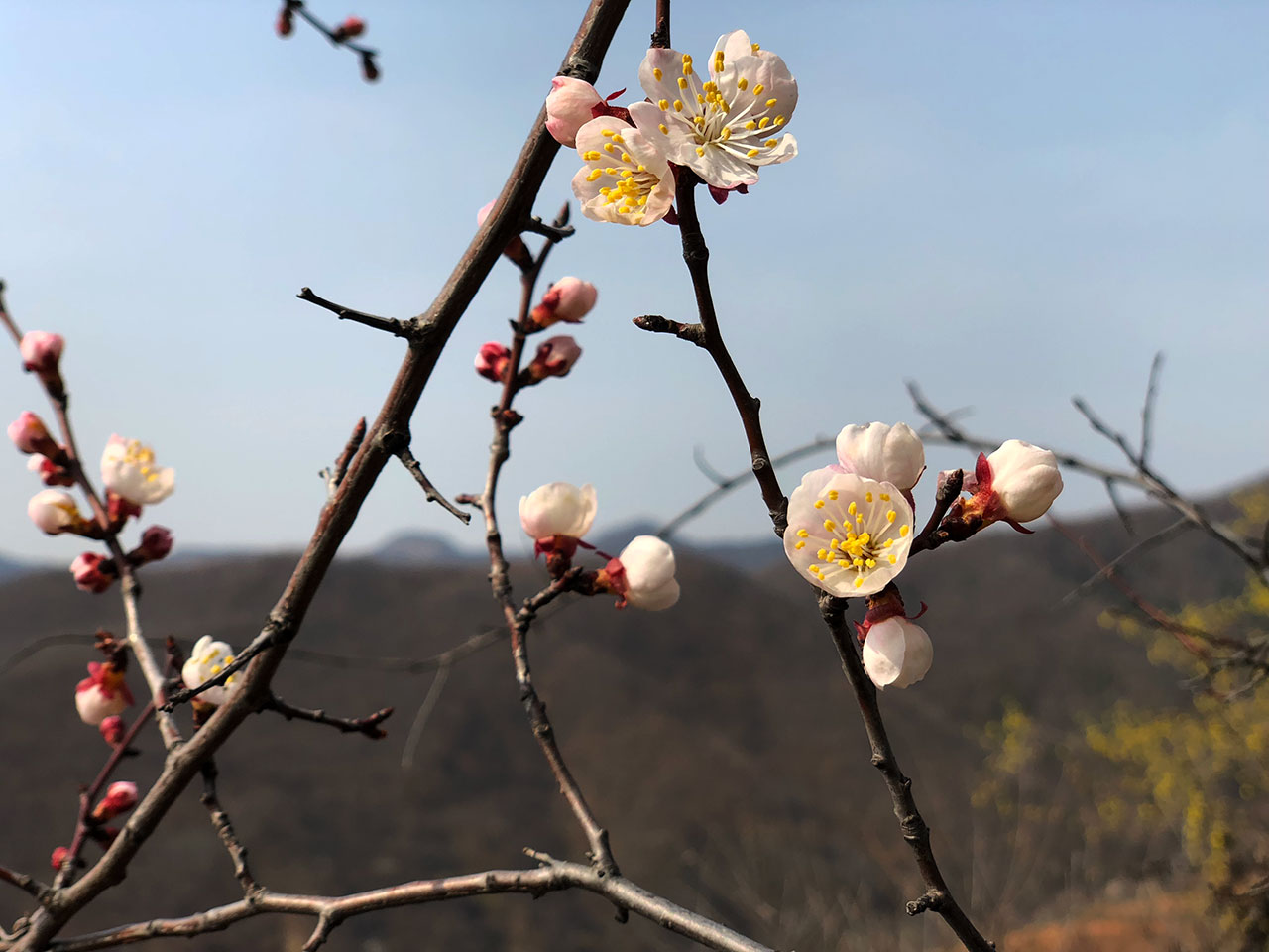 嵩山灵隐峰11